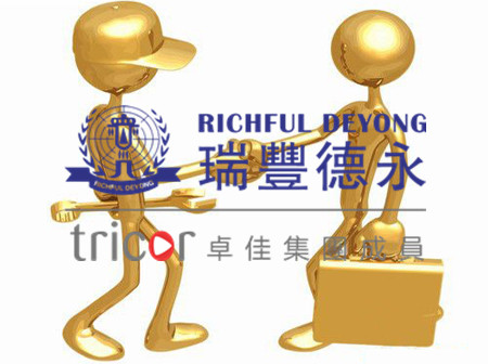 境內企業搭建VIE架構的原因